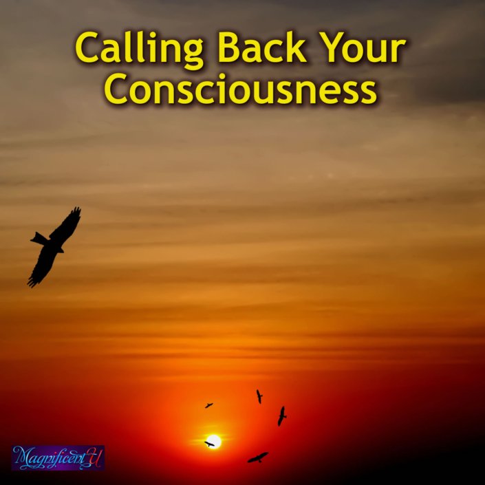 calling-back-your-consciousness-magnificent-u-with-d-takara-shelor