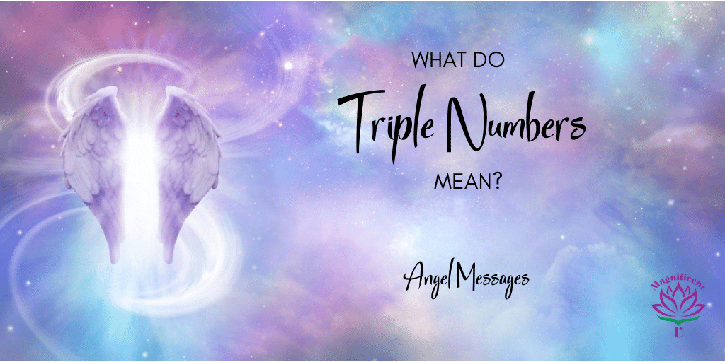 What Do Triple Numbers Mean Or Crystals Animals Etc Magnificent U 