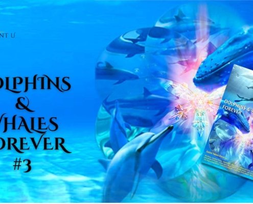 1 Bestseller Dolphins Whales Forever Book Tour 3